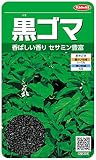 サカタのタネ 実咲野菜3073 黒ゴマ 00923073