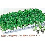 タキイ 根巻防止 ワンウェイ セルトレイ 白 200穴 10×20列 100枚入り 280×545mm プラグトレイ