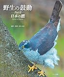 野生の鼓動 PartⅡ 日本の鷹