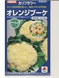 オレンジブーケタキイ交配カリフラワー種です
