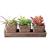 フェイク多肉植物in木製トレイ