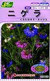 カネコ種苗 草花タネ759 ニゲラくろたねそうミックス 10袋セット