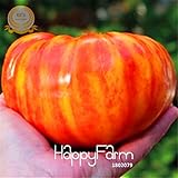 新しい種子2015！フルーツ野菜の種子50個家宝ビッグ虹縞模様のあるビーフステーキトマト種子盆栽トマト、＃NPY91G