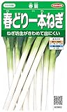 サカタのタネ 実咲野菜3802 春どり一本ねぎ 春扇 00923802