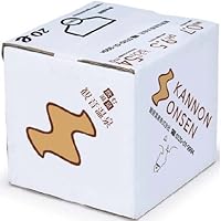 飲める観音温泉 20L バックインボックス