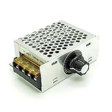 4000W High Power SCR Electronic Volt Regulator Speed Controller Motor AC 220V 110V [並行輸入品]