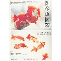 確認用  金魚 原色金魚図艦-かわいい金魚のあたらしい見方と提案 | 川田 洋之助 |本