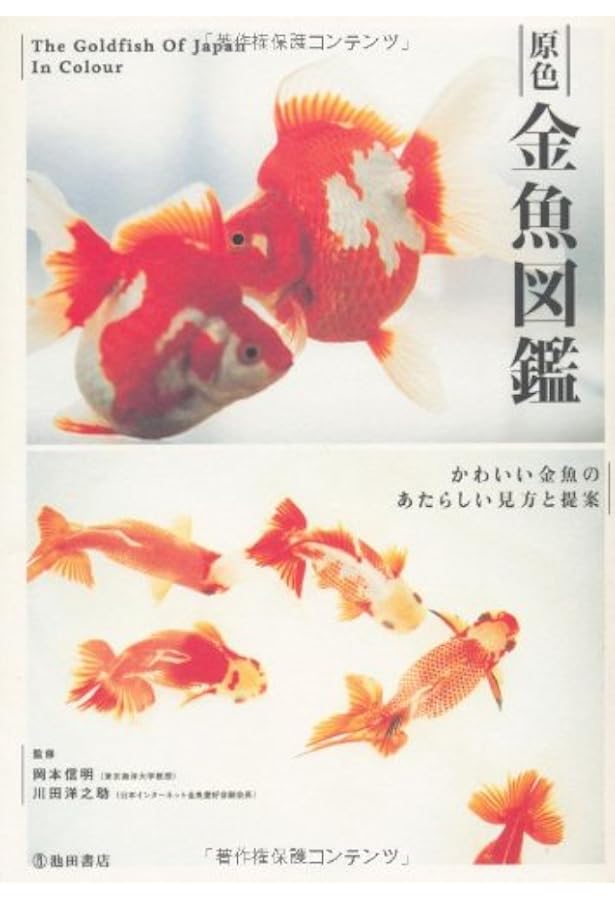 金魚 KINGYO ジャパノロジー・コレクション (角川ソフィア文庫) | 岡本
