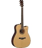 Amazon.co.jp: ヤマハ トランスアコースティックギター LL-TA VT