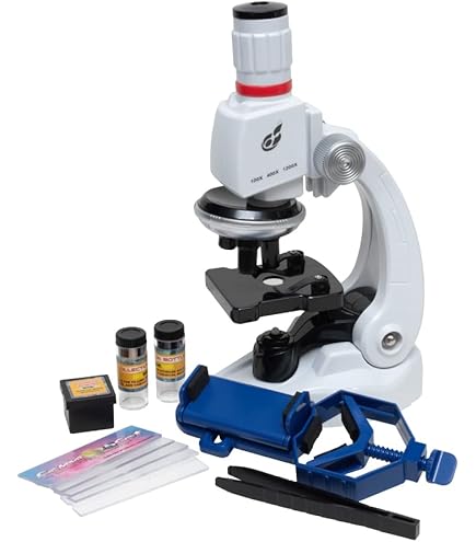 (未使用･未開封品)　学習用顕微鏡900セット sdt40b8 Amazon | 学習用顕微鏡900セット [おもちゃ＆ホビー] | 顕微鏡