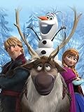 Disney Frozen Out In The Cold Fleece Throw 40 x 50 [並行輸入品]