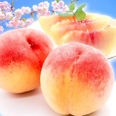 Amazon.co.jp ほしい物ランキング: すもも・プラム で、ほしい物リスト