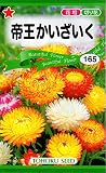 トーホク 帝王かいざいく