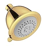 Hansgrohe 06126930 Tango C Croma C 75 2-Jet Shower Head, Polished Brass [並行輸入品]