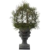 Nearly Natural 4956 30-Inch Indoor/Outdoor Pond Cypress Topiary with Urn, Green [並行輸入品]