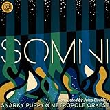 Somni (2LP) (Ltd) [Analog]