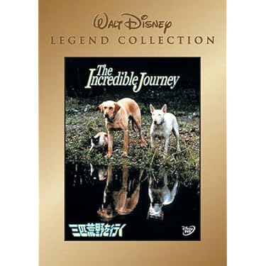 画ニメ 猫町 [DVD] bme6fzu Amazon.co.jp: 画ニメ 猫町 [DVD] : 浦浜昌二郎: DVD
