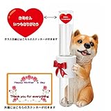 母の日用　ギフトパッケージ　エイチツーオー　ガラス花瓶持ちドッグ　柴犬