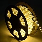 prosperly米国製品100 ' 2ワイヤLEDロープライトクリスマス装飾パーティーin /アウトドア110 Vウォームホワイト