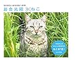 カレンダー2019 岩合光昭×ねこ (ヤマケイカレンダー2019)