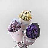 【Blooming＆me】フラワーデザイナーおすすめ！ ドライフラワー スターチス ミニ花束セット【BOX付き】 スターチス3Pセット (パープル＆ライトパープル＆イエロー)