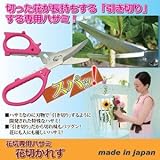 花切専用ハサミ 「花切かれず」 ステンレス製 (ガーデニング/園芸/生け花)