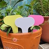 6 × 10センチプラスチック植物t型タグマーカー保育園ガーデンラベルグレー100ピース
