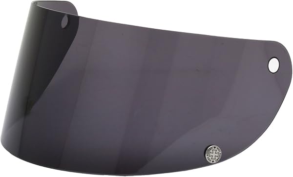 ネオライダース (NEORIDERS) GT7/GT9/GT7-OT対応シールド スモーク SHIELD 族ヘル - 1