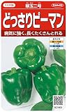 サカタのタネ 実咲野菜1400 どっさりピーマン 翠玉二号 00921400