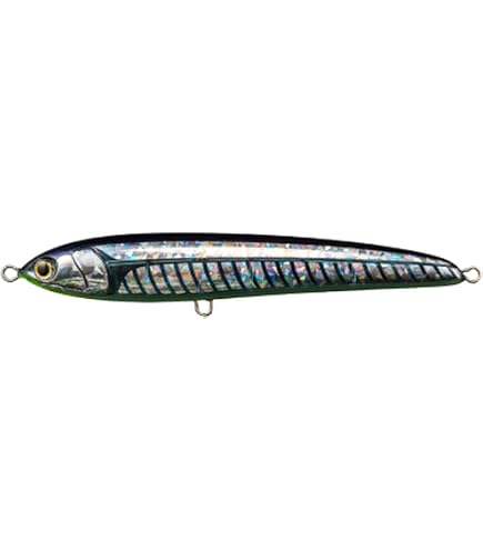 Amazon.co.jp: ヤマシタ(YAMASHITA) マリア ラピード F 230mm 036
