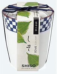 聖新陶芸 通年 家庭菜園 簡単 栽培キット ゆったり育てる シソ 大葉 ハーブ 野菜 栽培セット ( 自由研究 / 食育 ) 鉢の径7cm 染付小紋 薬味小鉢 母の日 プレゼント 誕生日 GDー75801
