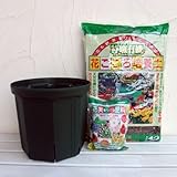 果樹用の鉢栽培セット2～3年目用[10号鉢・土・肥料]