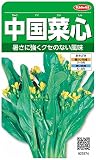 サカタのタネ 実咲野菜3374 中国菜心 00923374