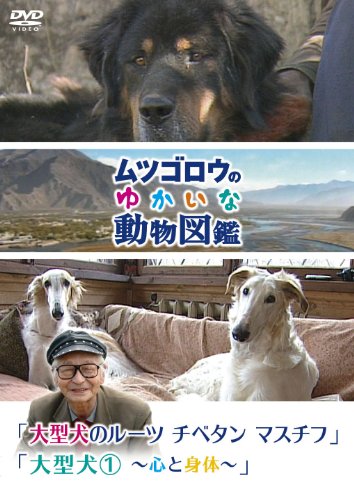 ムツゴロウのゆかいな動物図鑑 シリーズ 大型犬のルーツ チベタンマスチフ 大型犬1 心と身体 畑正憲 Oricon News