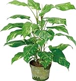 ポピー 観葉植物の造花 ポトスポット 50cm