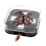 ゴキブリ 捕獲器 対策 退治 生け捕り式 餌付き 無臭無毒 繰り返す使用