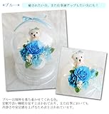 Lovely Happy Bear 花風水 パワーストーン ダブル パワー ドーム 入 くまさん 青い バラ ブルーローズ アレンジ