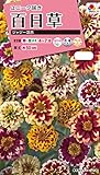 タキイ種苗 百日草 ジャジー混合