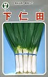 トーホク 下仁田葱 20ml THK-771473
