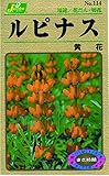 カネコ種苗 草花タネ114 ルピナス 黄花 10袋セット