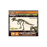 リーメント 107 バキケファロサウルス ds-1655625