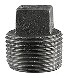 B K Mueller521-806BGBlack Pipe Plug-1-1/4" BLACK PLUG (並行輸入品)