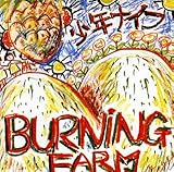 BURNING FARM