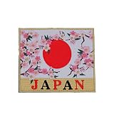 日の丸 桜 JAPAN ワッペン パッチ 刺繍 cherry blossom 日本 PJ39-TZ ベルクロ付き 国旗 自衛隊グッズ マルチカラー