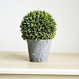KAIMO 人工観葉植物 人工蘭　植物　家　庭　鉢植え　盆栽 - ?