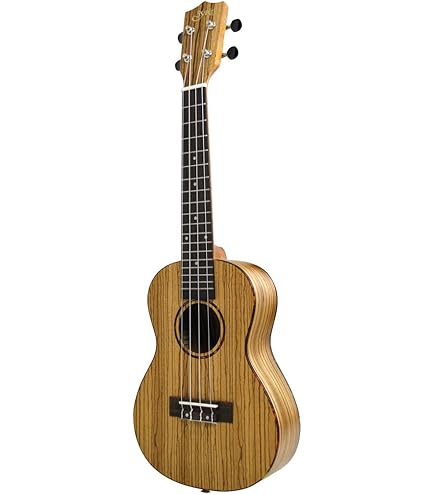 Amazon.co.jp: aNueNue aNN-MCM Mini Mahogany ミ二コンサートウクレレ