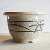 信楽焼 植木鉢 ウズラ竹抜絵リン型 10号 アウトレット数量限定品