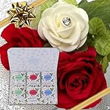 敬老の日 お祝い ギフト 花 プリザーブドフラワー アレンジメント スクエア― レッド と ウェッジウッドワイルドストロベリーティーバッグ セット プレゼント