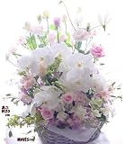 やさしいピンク 蘭花 思いで色 法事の花