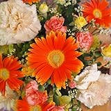 高岡大仏前花金　(オレンジ）　華やかオレンジグラデーションーアレンジメント 【大好評】　父の日・誕生日・ギフト・結婚記念日！！　ボリューム有り！（サイズ奥行：23cm×幅：約23cm×高さ：約23cm